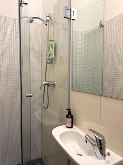 Apartament Neu! Im Stadtzentrum 4 *
